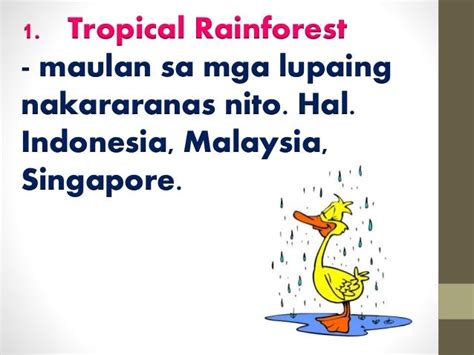 Ano ang tropical monsoon